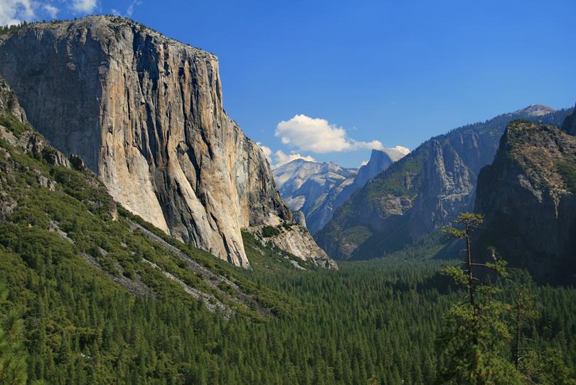 National Parks Celebration